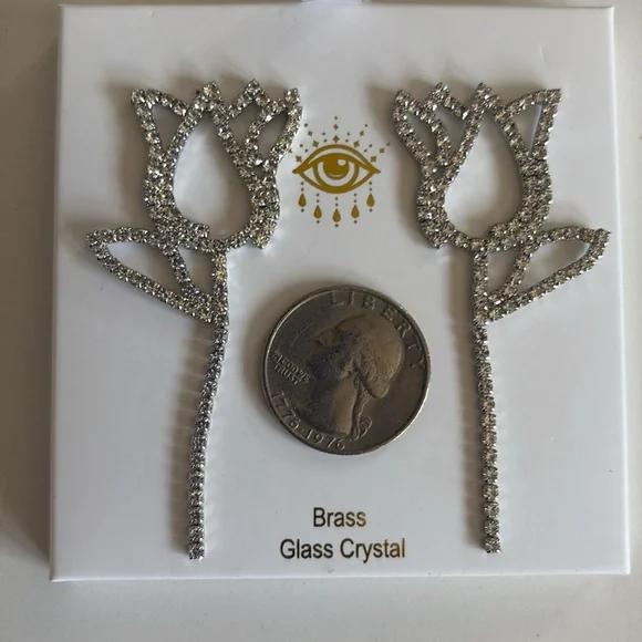 Eye Candy Los Angeles luxe collection large drop earrings for pierced ears NIB - Picture 7 of 8